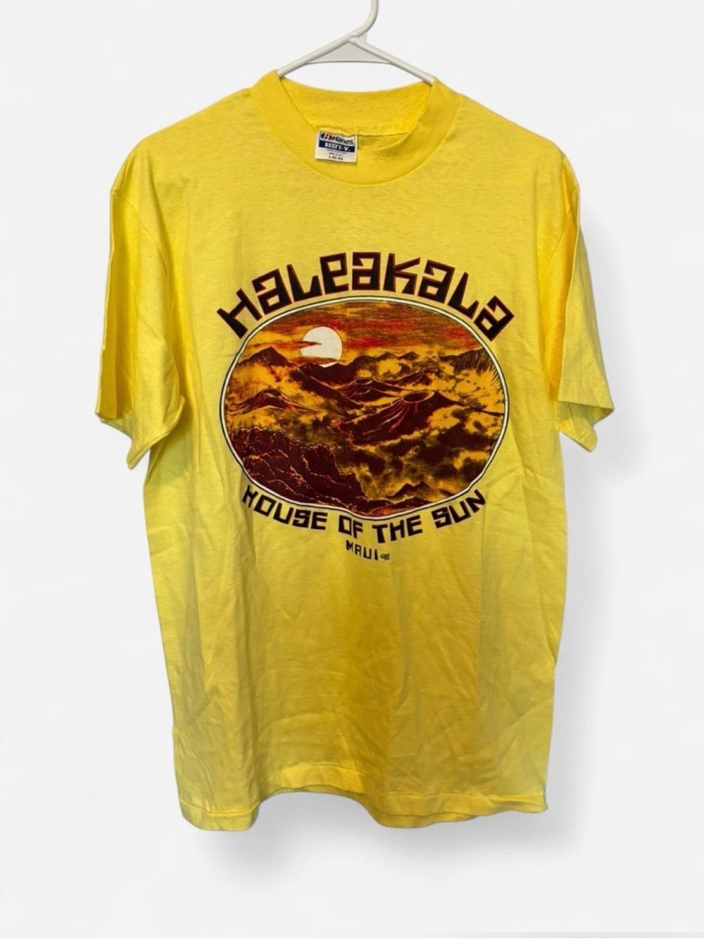 Vintage 80s Haleakala Maui Hawaii Graphic Tee Made in USA Hanes Beefy L Yellow
